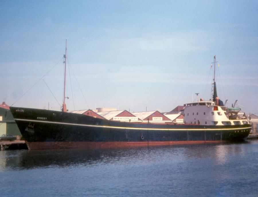 Hamada at The Red Sea Wreck Project