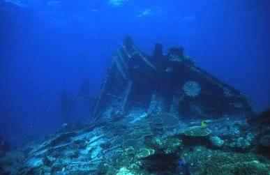 Carina at The Red Sea Wreck Project