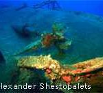 Colona IV at The Red Sea Wreck Project