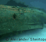 Colona IV at The Red Sea Wreck Project