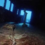 Giannis D at The Red Sea Wreck Project