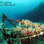 The Kingston at The Red Sea Wreck ProjectA