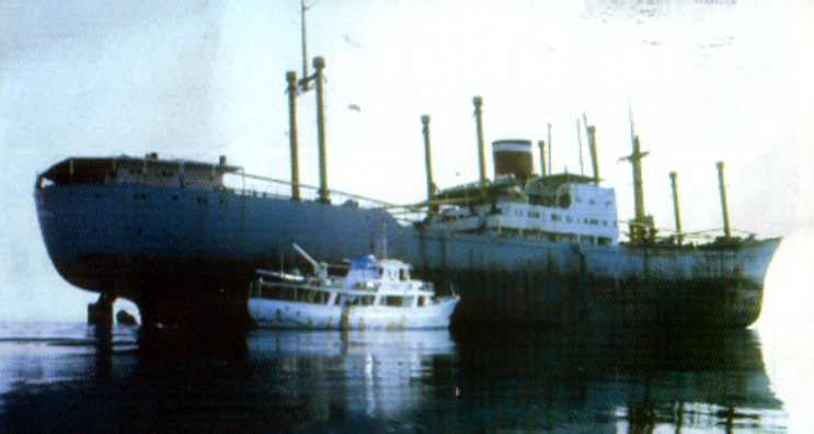 The Lara at The Red Sea Wreck Project