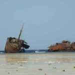 The Maria Schröder/Rolf Jarl at The Red Sea Wreck Project